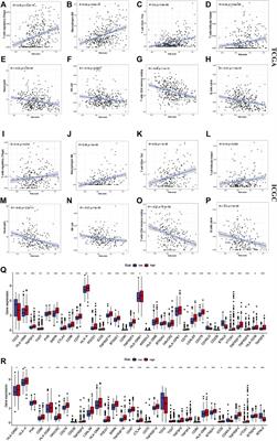 Cuproptosis-related immune checkpoint gene signature: Prediction of prognosis and immune response for hepatocellular carcinoma